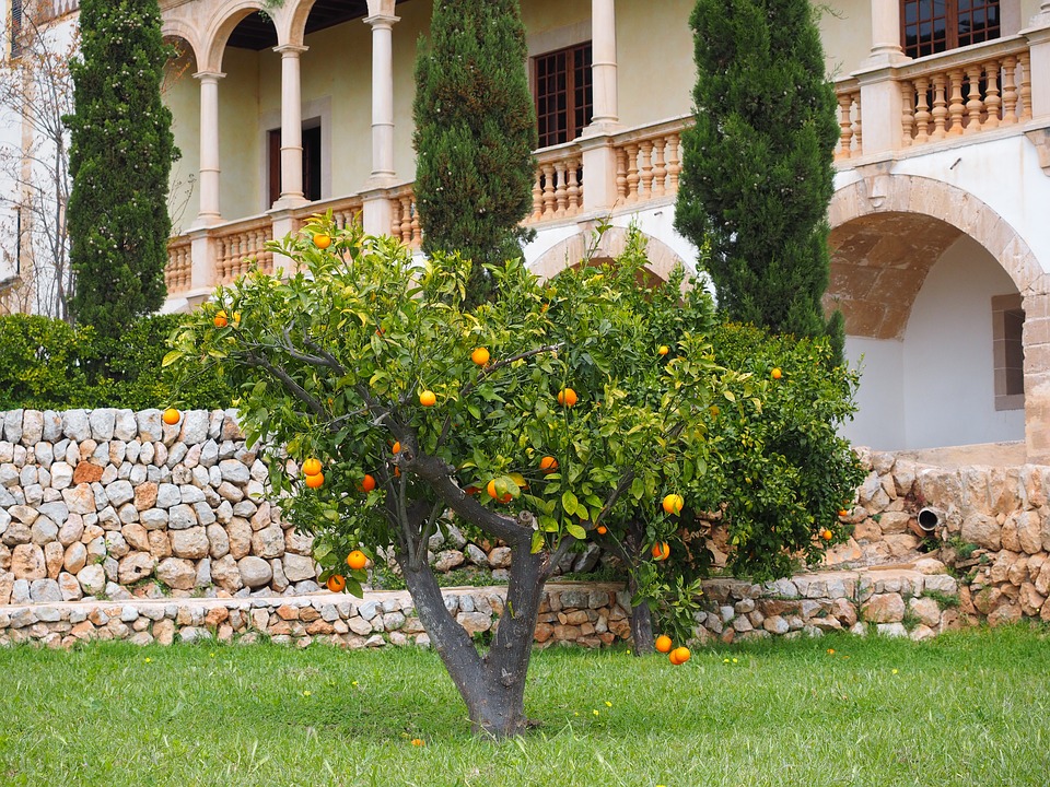 Tout pour un jardinage respectueux de l’environnement