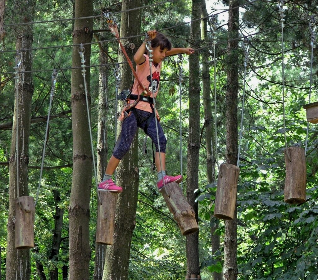 parcours aventure dans les arbres