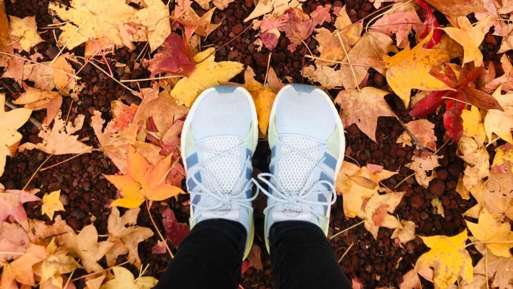 Chaussures adidas 