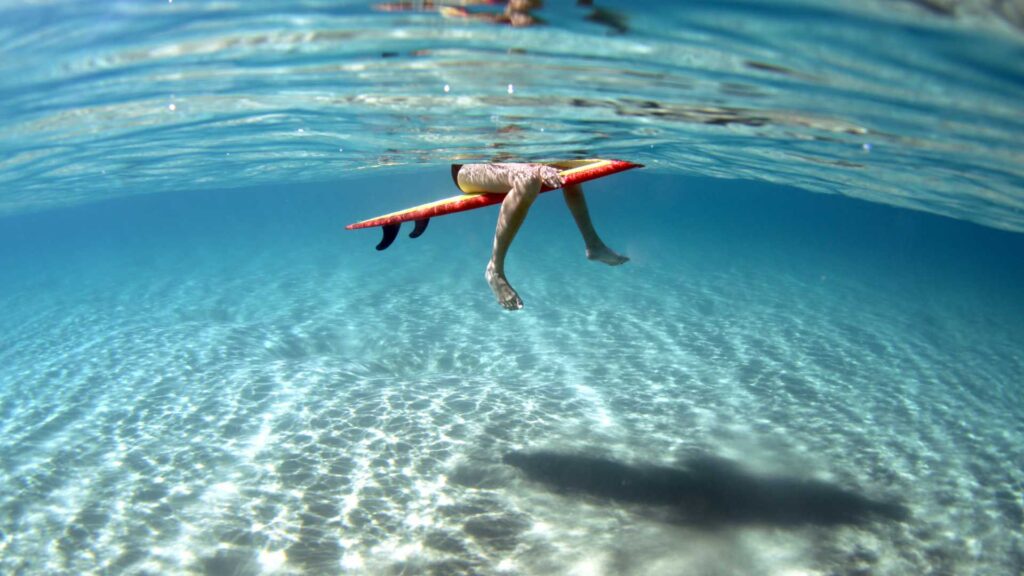 planche de surf